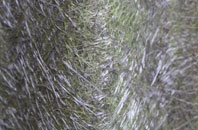 Finchingfield fibreglass roof work